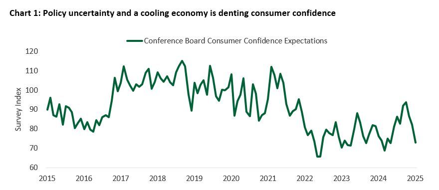 Policy uncertainty and a cooling economy is denting consumer confidence