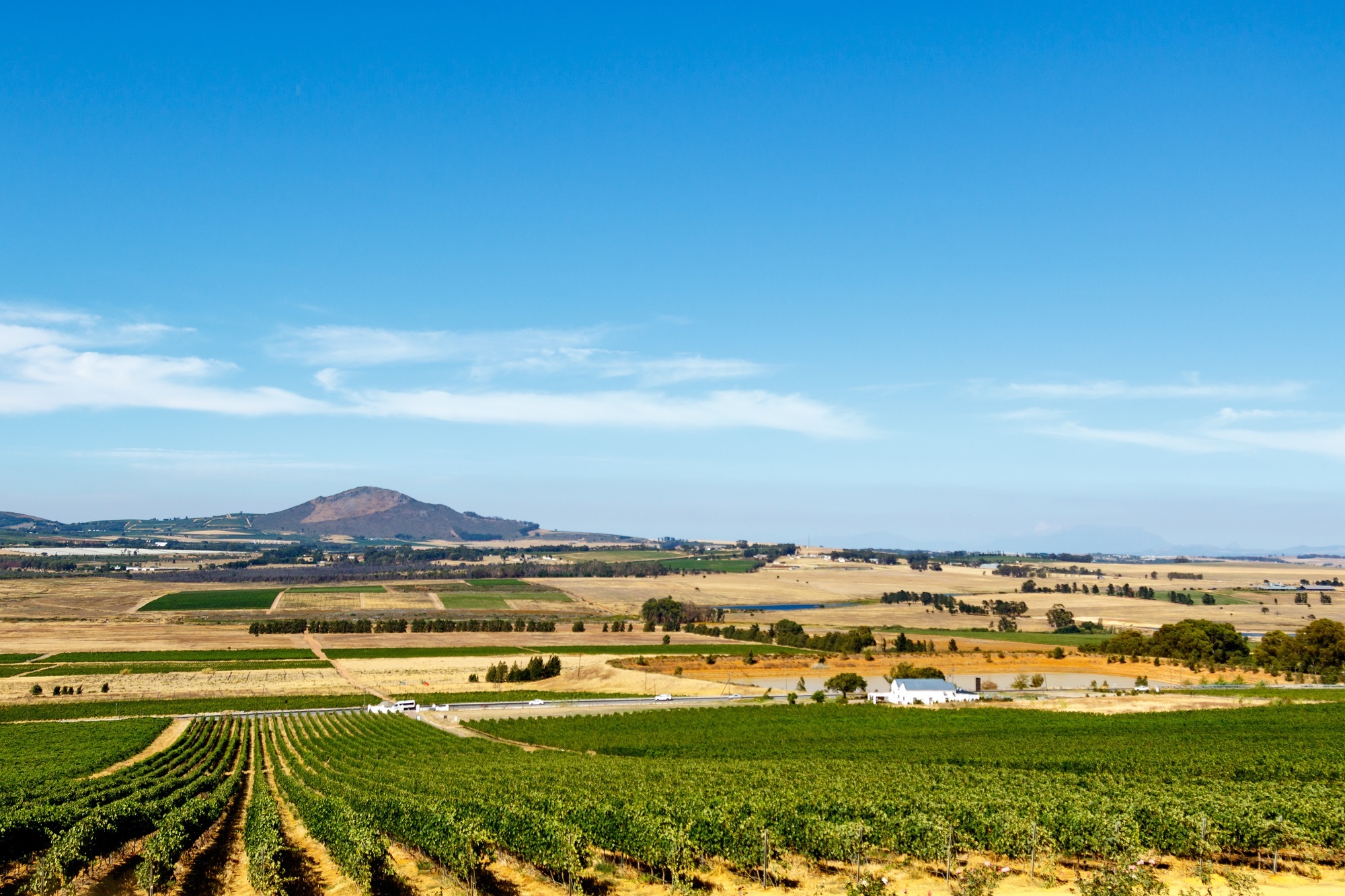 stonehage fleming insight Working with farming families in South Africa
