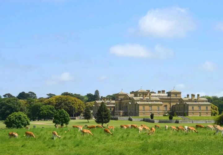 stonehage fleming insight Holkham Hall: A Grand Tour Legacy Preserved